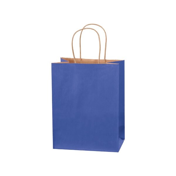 Bsc Preferred 8 x 4-1/2 x 10 1/4'' Parade Blue Tinted Shopping Bags, 250PK BUY00029592 - main